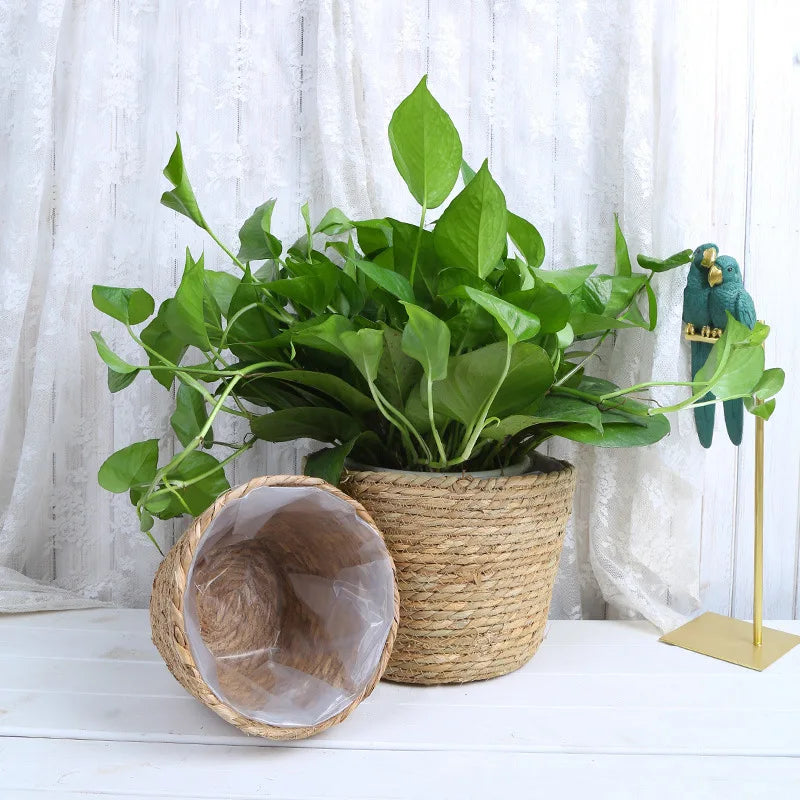 Woven Flower Plant Pot Basket