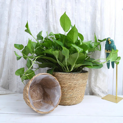 Woven Flower Plant Pot Basket